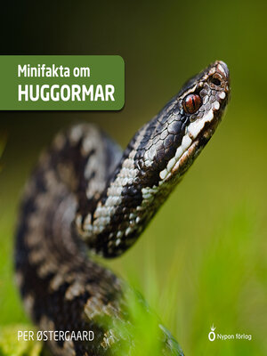 cover image of Minifakta om huggormar